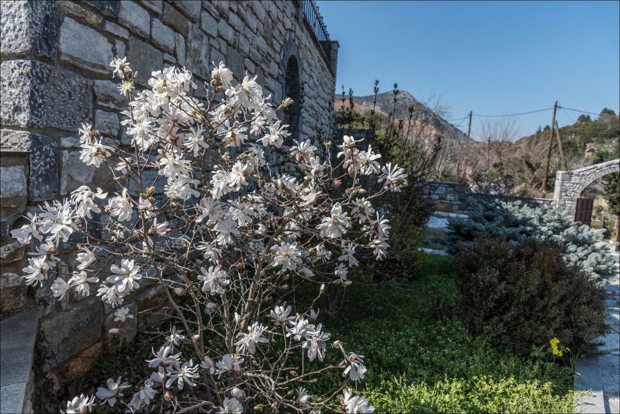 Вілла Stone Mansion Anavryti, Αμα 20569 Містрас Екстер'єр фото